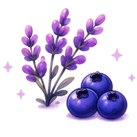 LAVENDER & BLUEBERRY