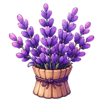 LAVENDER EVERYWHERE