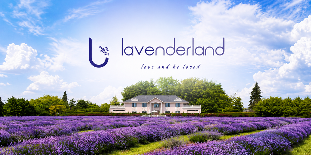 LAVENDERLAND