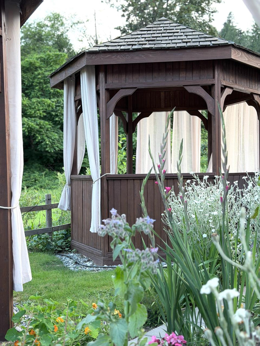 Sunflower Cafe: A Farm-to-Table Escape in the Heart of the Fraser Valley